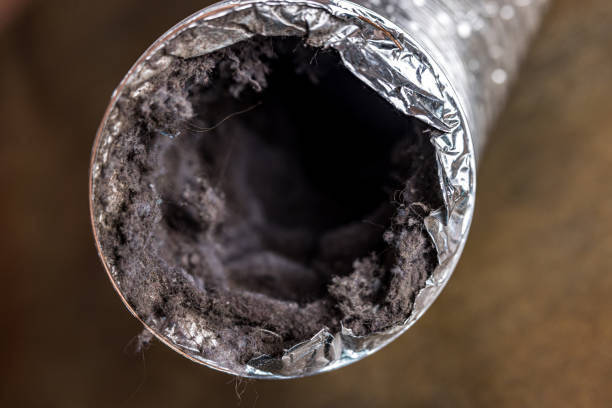 Best Residential Air Duct Cleaning  in Crozet, VA